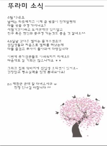 소식